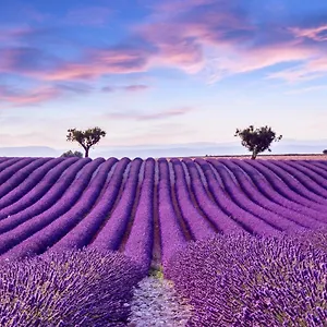 La Maison Des Collines Allemagne-en-Provence